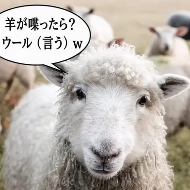Profile image of ナ・モッチム