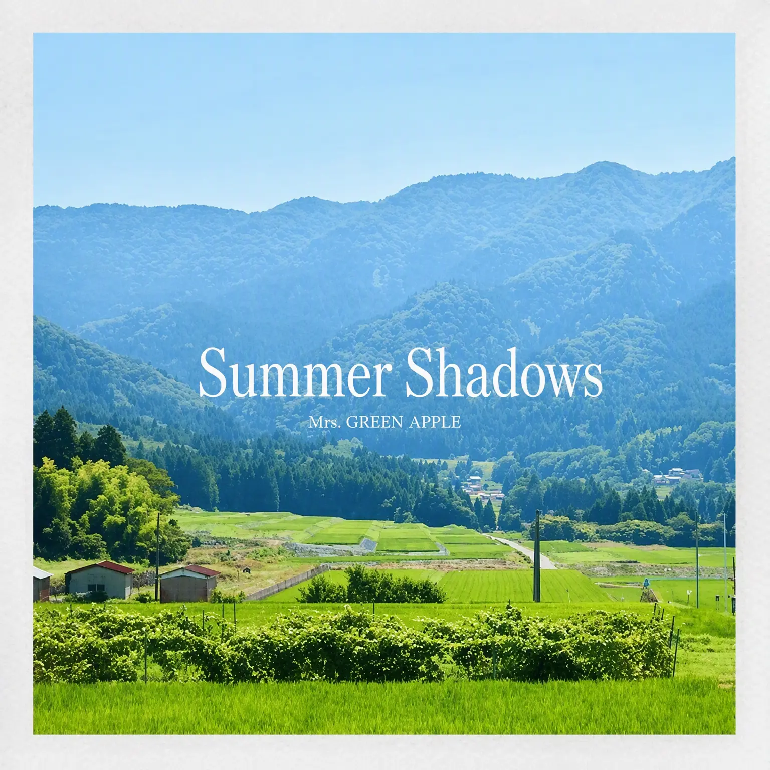 Aoi_Kahun.kuso의 Summer Shadows