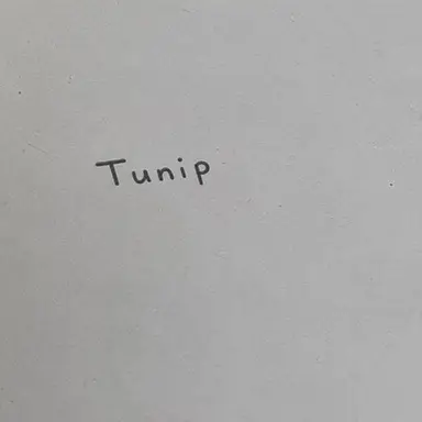 Profile image of Tunip
