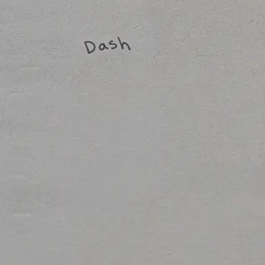 Profile image of Dashi