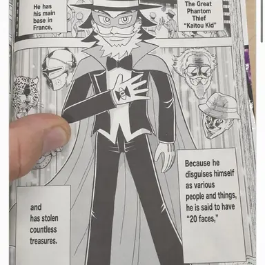 Profile image of Phantom Thief 20 Faces