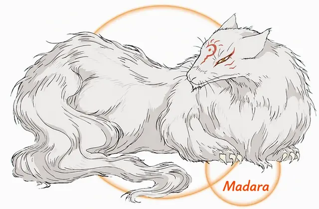 Profile image of Nyanko-sensei