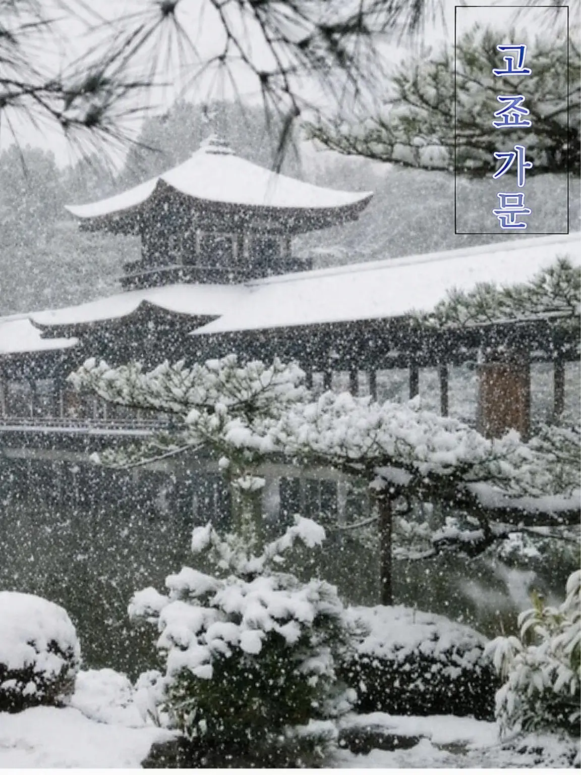 arakazime의 고죠 가문