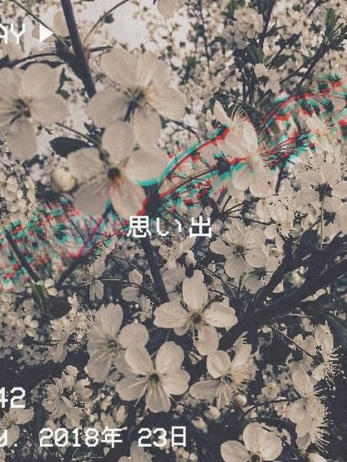 Dream0101의 白昼夢のおとり物件トリオ