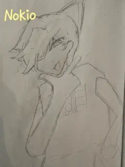 Profile image of Nokio
