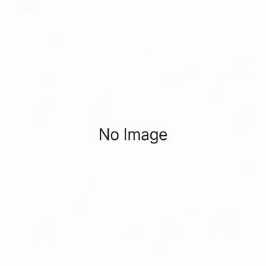 Profile image of Han Gangji