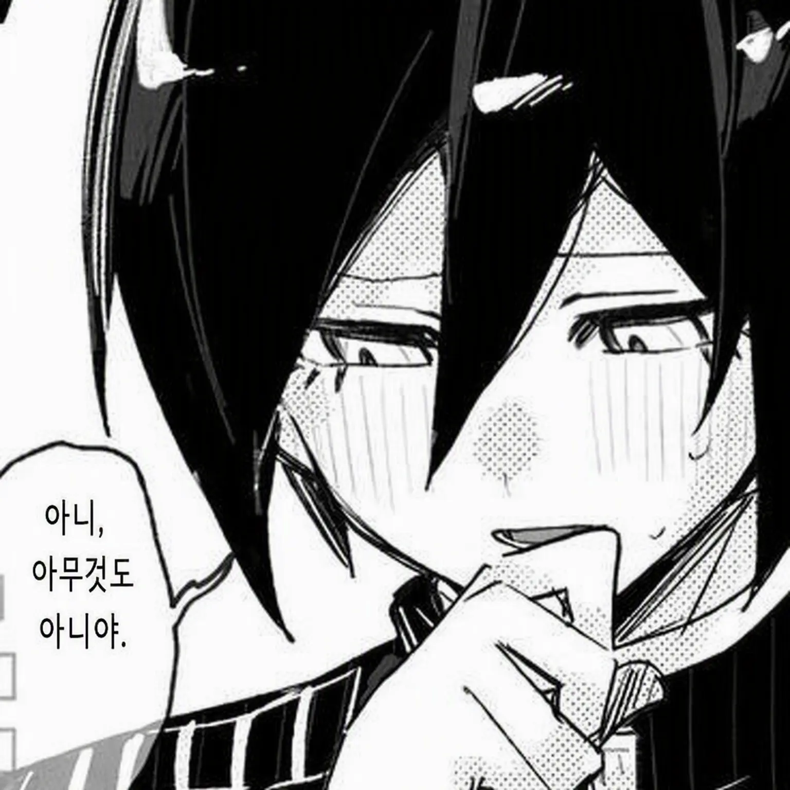 VastEasel4976의 사이하라 슈이치