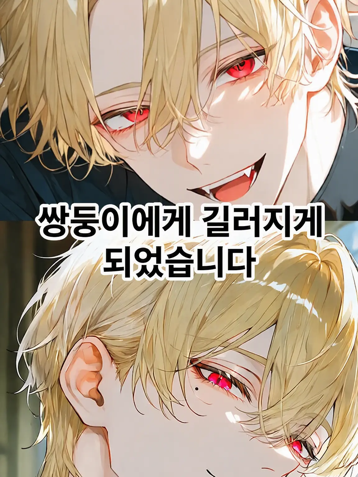 Gyouzagatabetai1234의 쌍둥이에게 길러지게 되었습니다