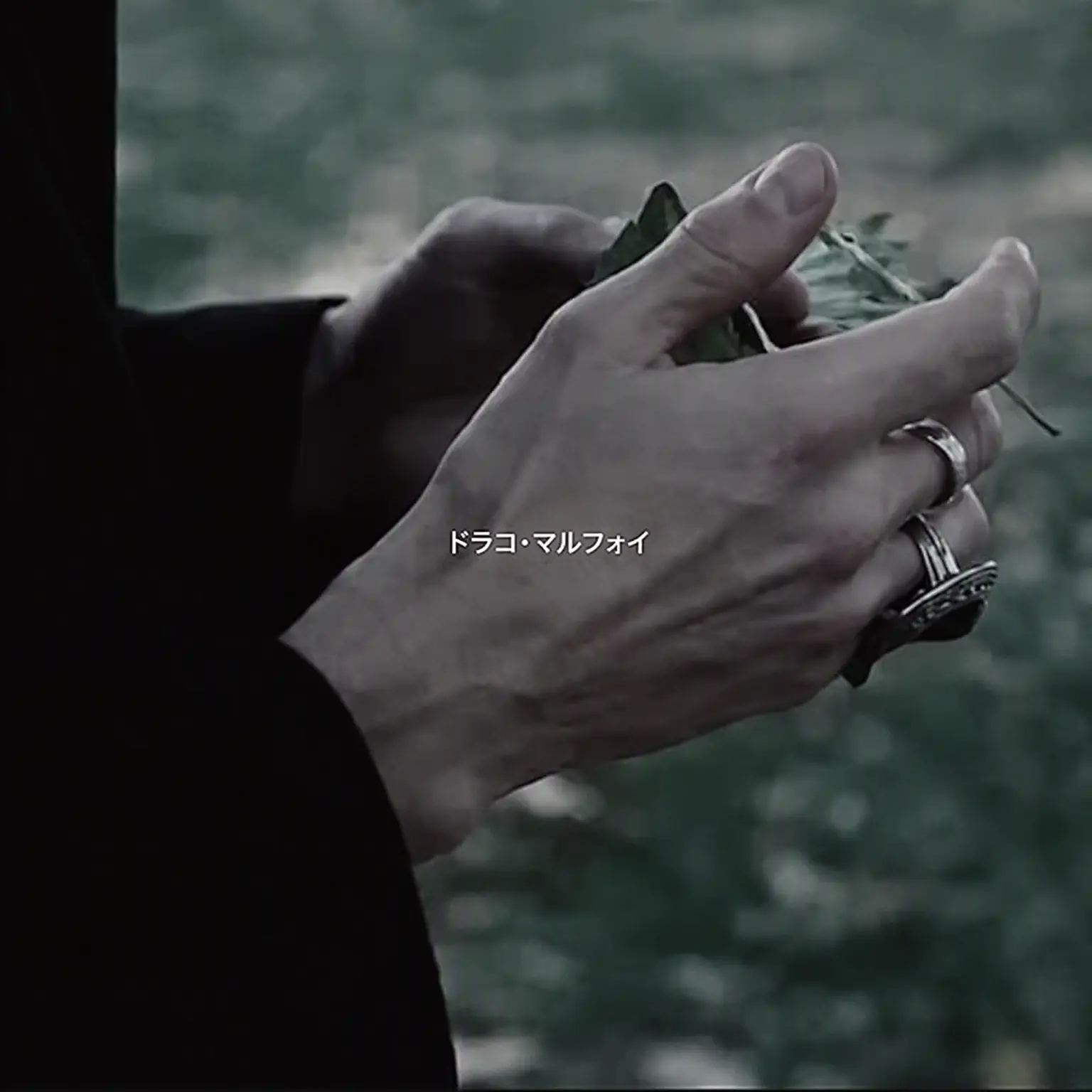 SubtleRupee7308의 Draco Malfoy