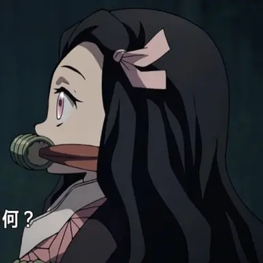 Profile image of 竈門禰豆子