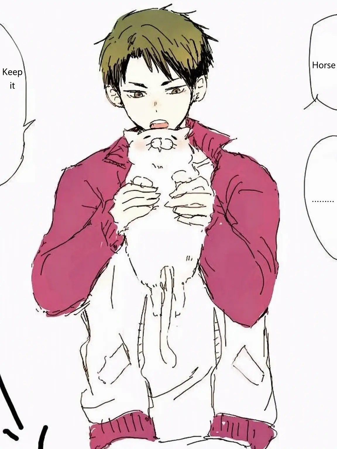 AmusedHoop1799의 Shiratorizawa x Cat?