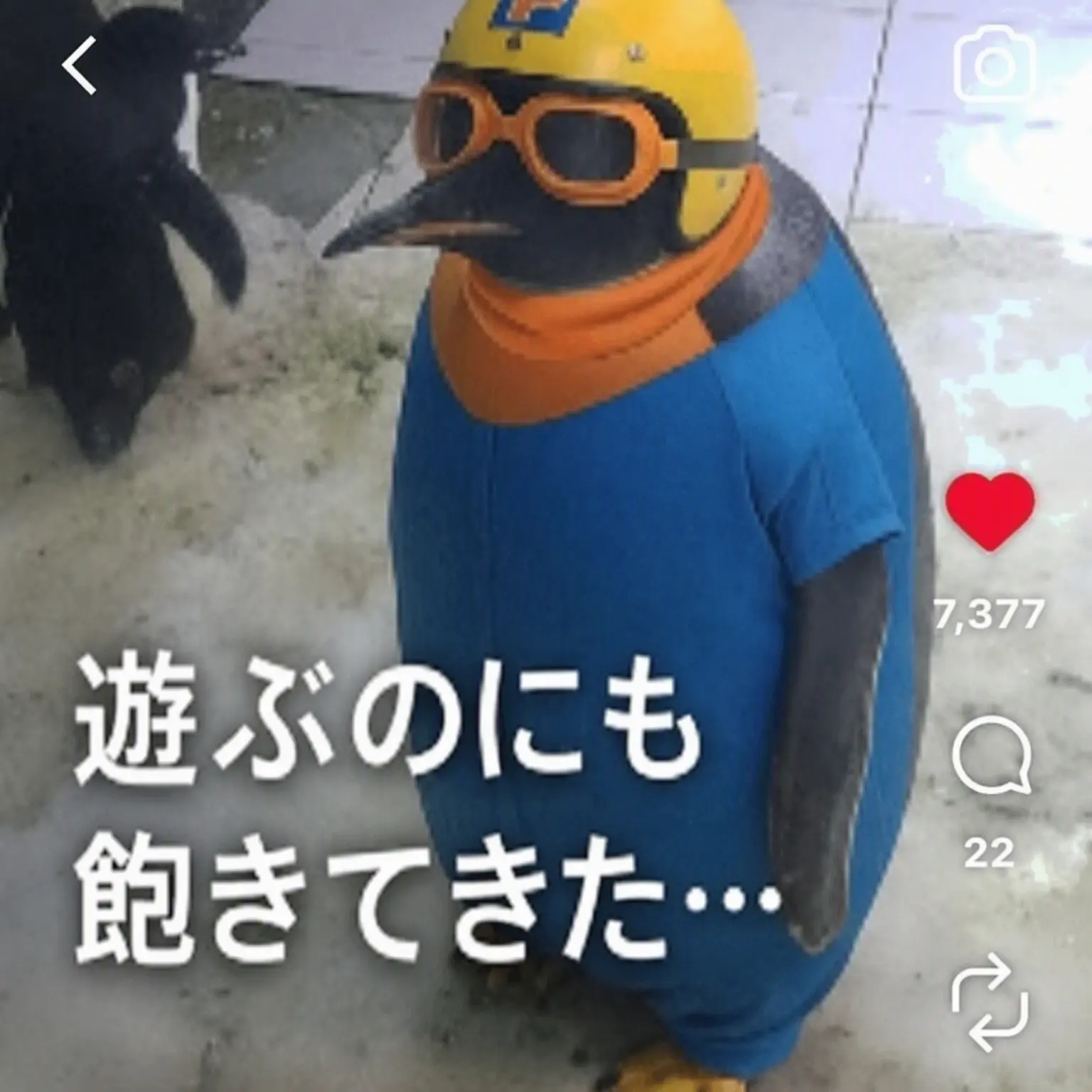 SlowSteel3643의 何もしたくないお年頃