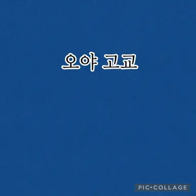 Profile image of 시바맨