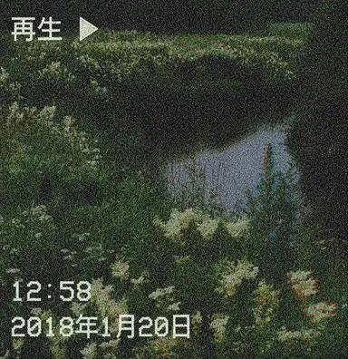 Profile image of ティプ