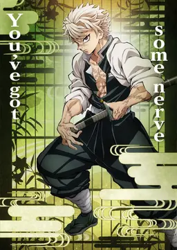 Profile image of Shinazugawa Sanemi