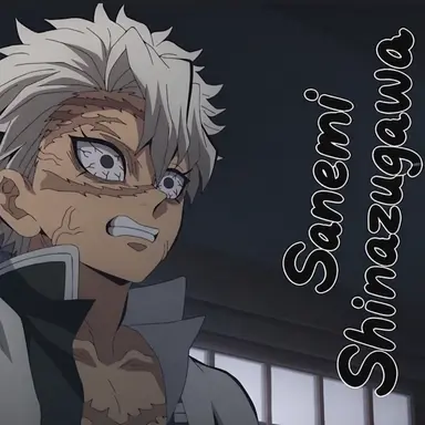 Profile image of Sanemi Shinazugawa