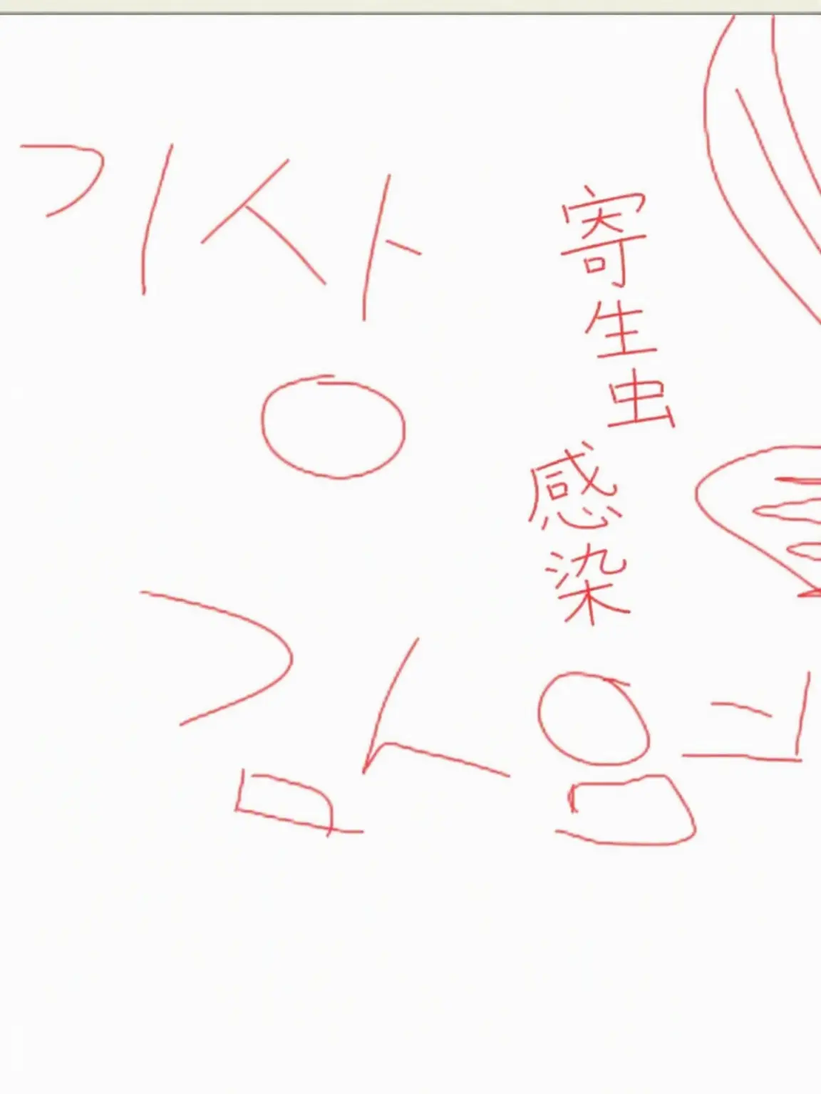 white_box_bear1733의 寄生虫感染+ヨウ、自キャラ