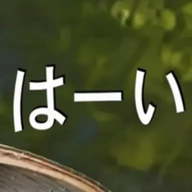Profile image of ネヒン