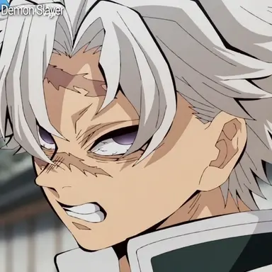 Profile image of Sanemi Shinazugawa