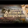 Profile image of Animal Kingdom