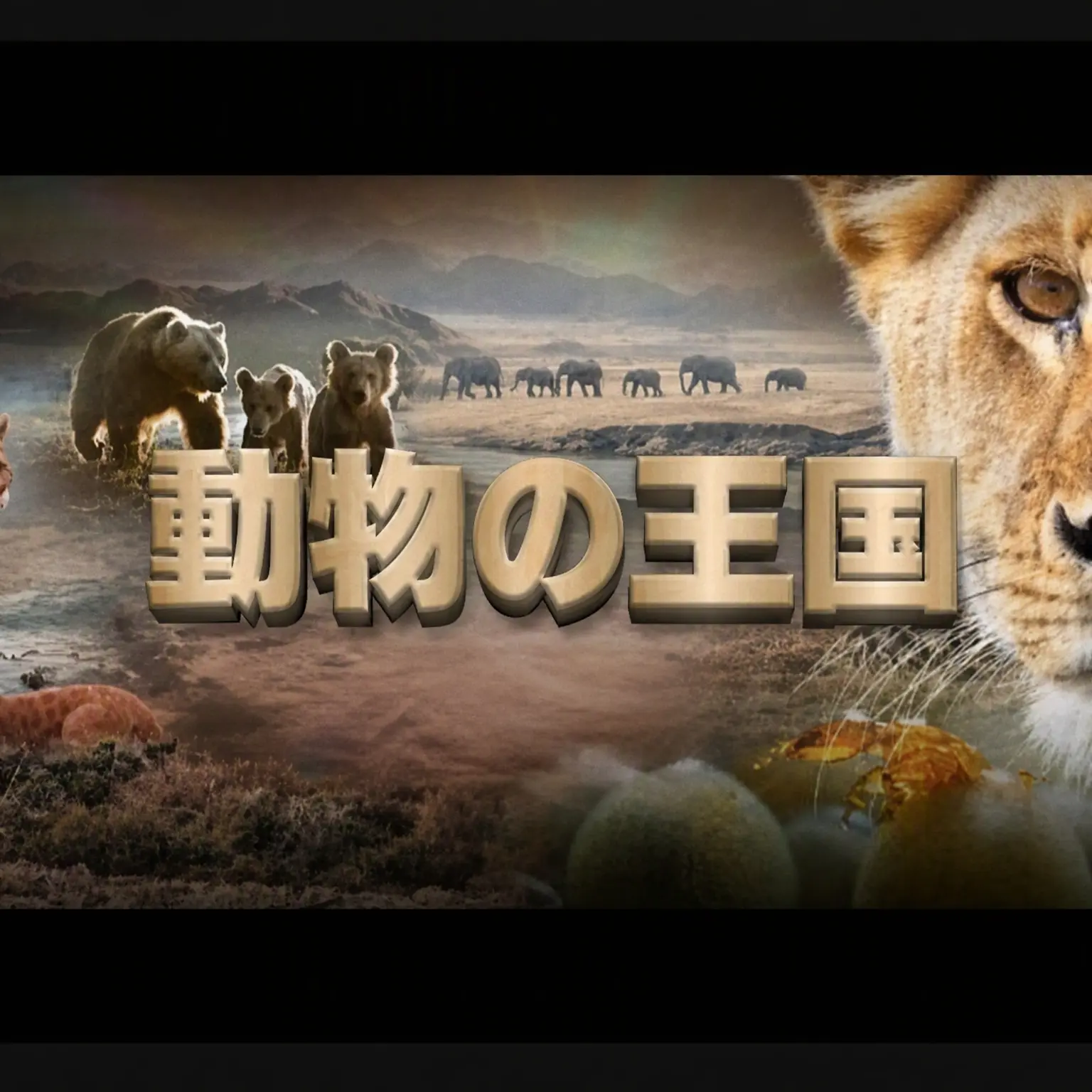 LeftLake5575의 動物の王国