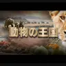Profile image of 動物の王国