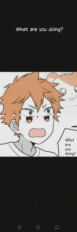 Profile image of Shoyo Hinata