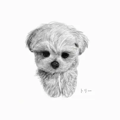 Profile image of ピング