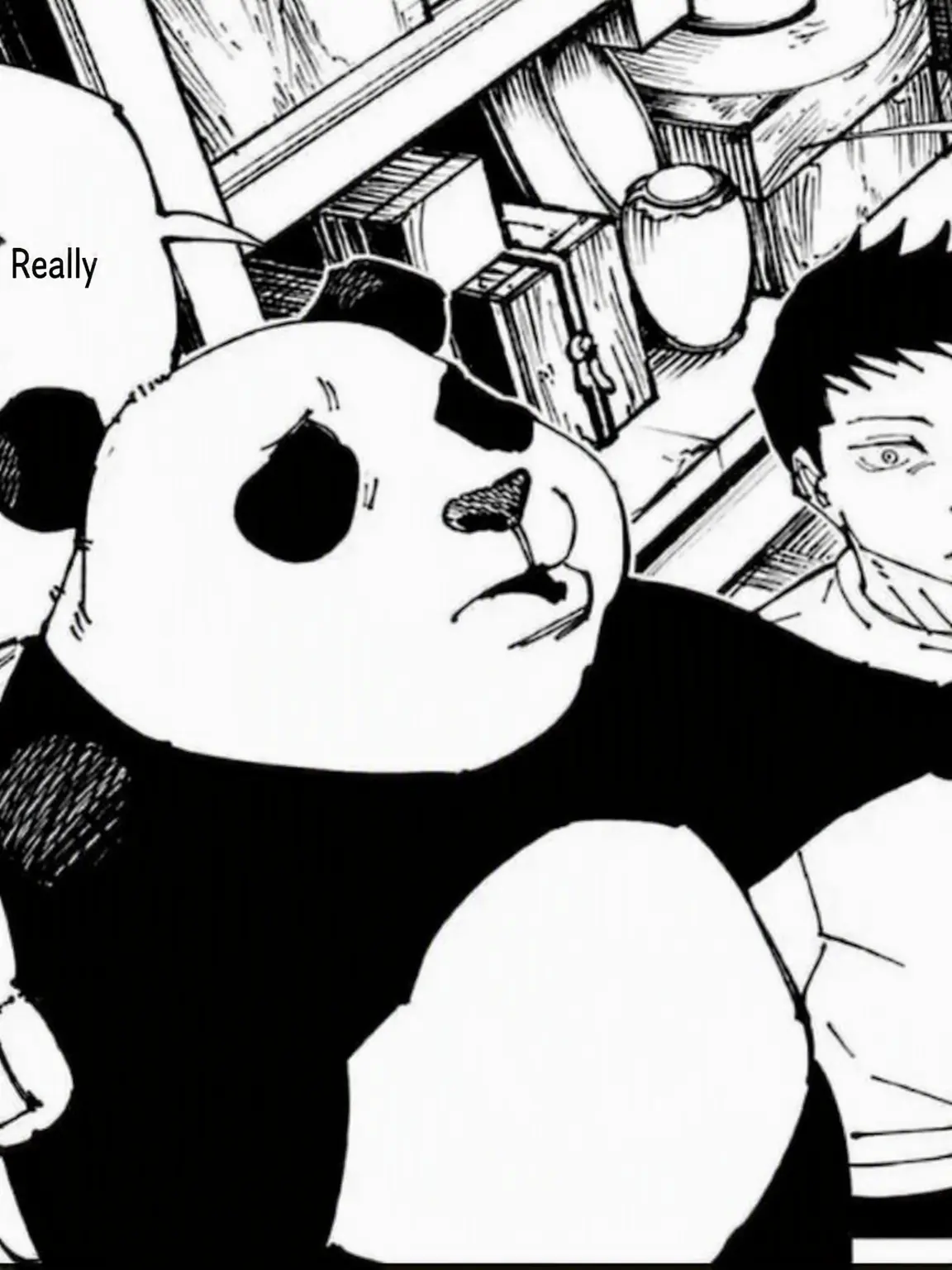 nx1의 Panda