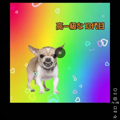 Profile image of ポピー