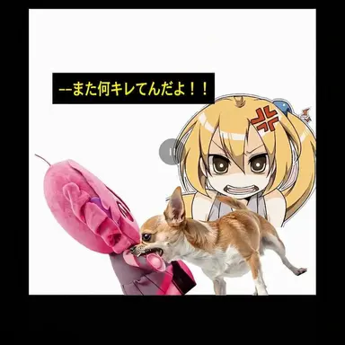 Profile image of ネル