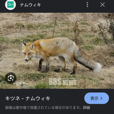 Profile image of ヨウ