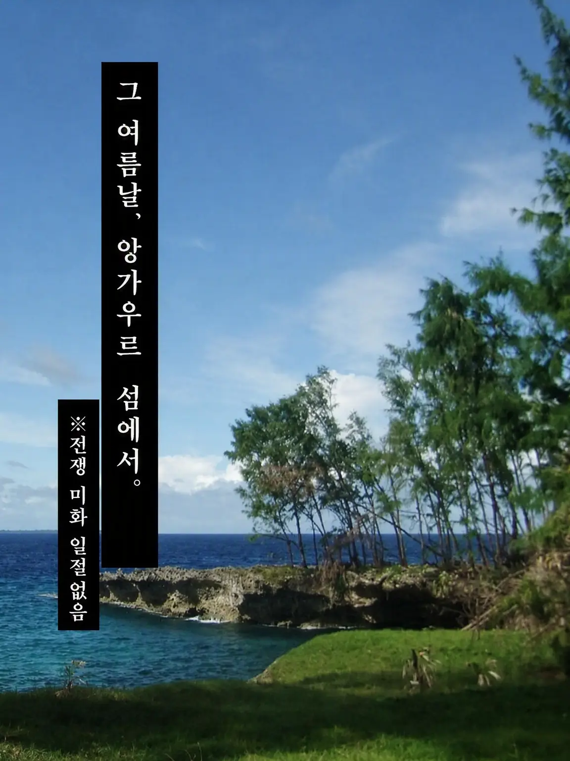 Nue1208의 그해 여름날, 안가우르섬에서.