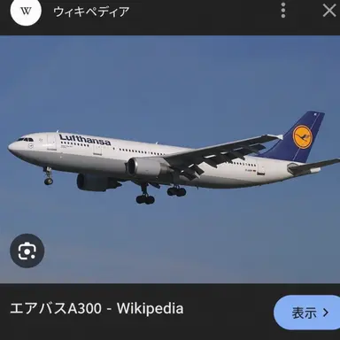 Profile image of A300