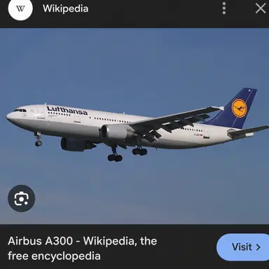 Profile image of A300