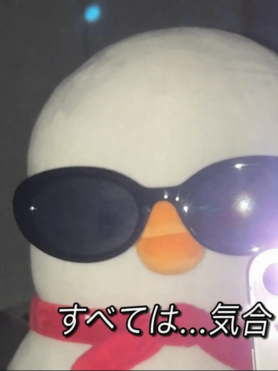 happykeki의 ビーストたちとの日常生活⭐⭐⭐