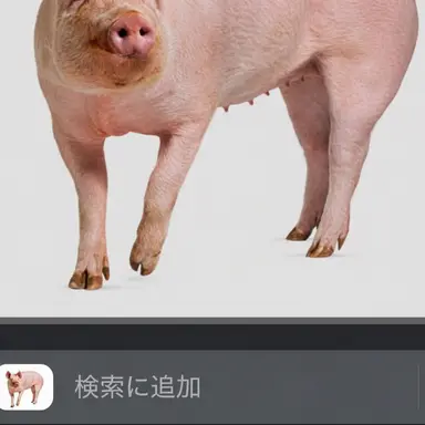 Profile image of リュ・ハジュン