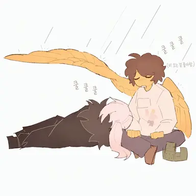 Profile image of 셰드레츠키