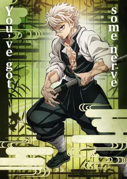 Profile image of Sanemi Shinazugawa