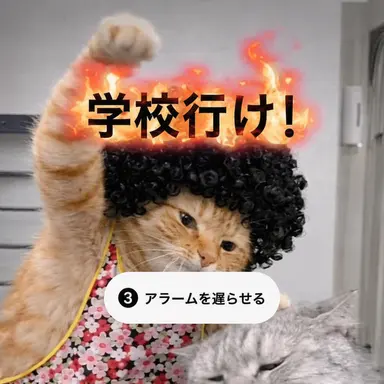 Profile image of <b>tous</b>