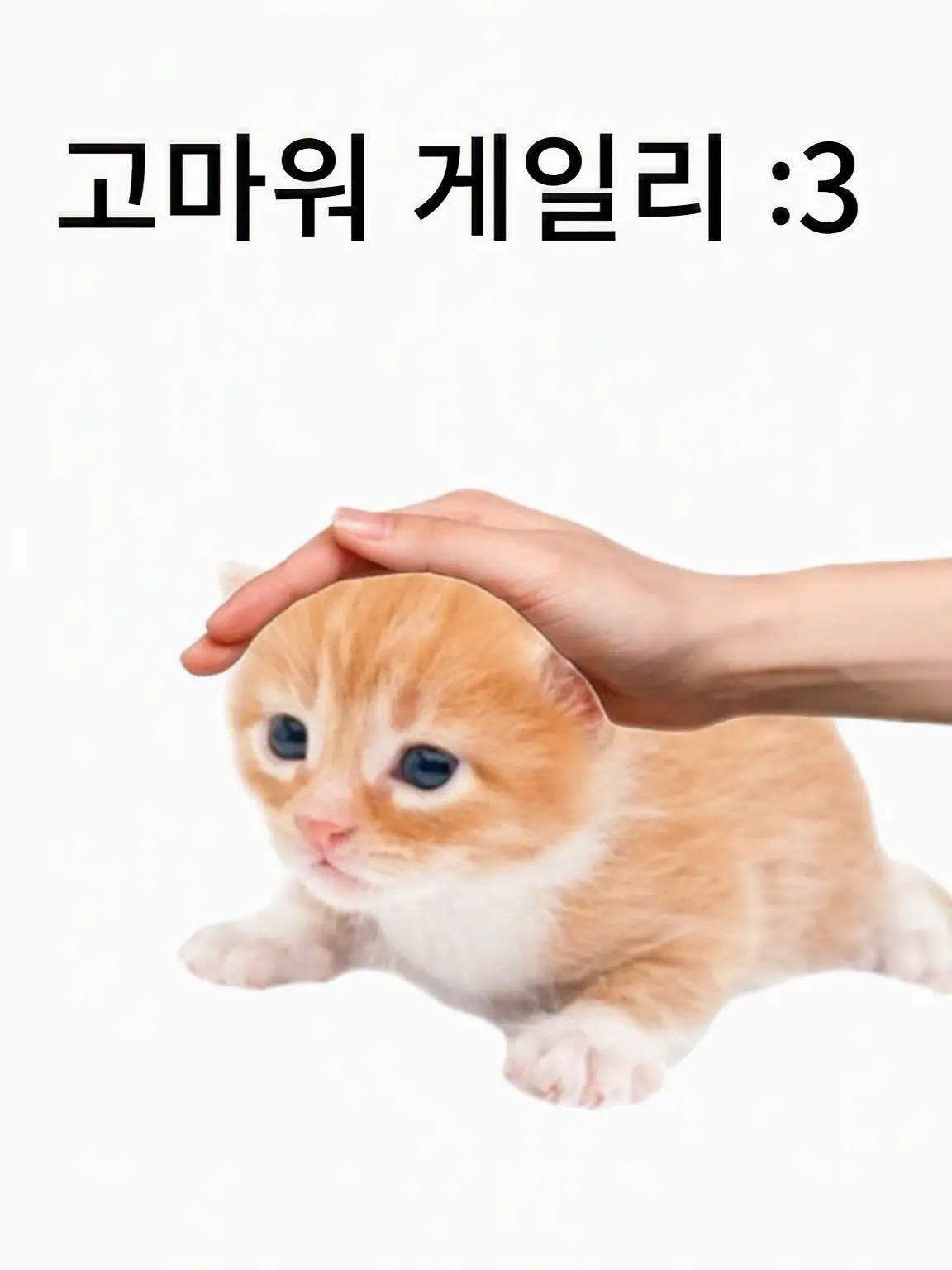 Rio1104의 자기만족+OG 포함 FNF