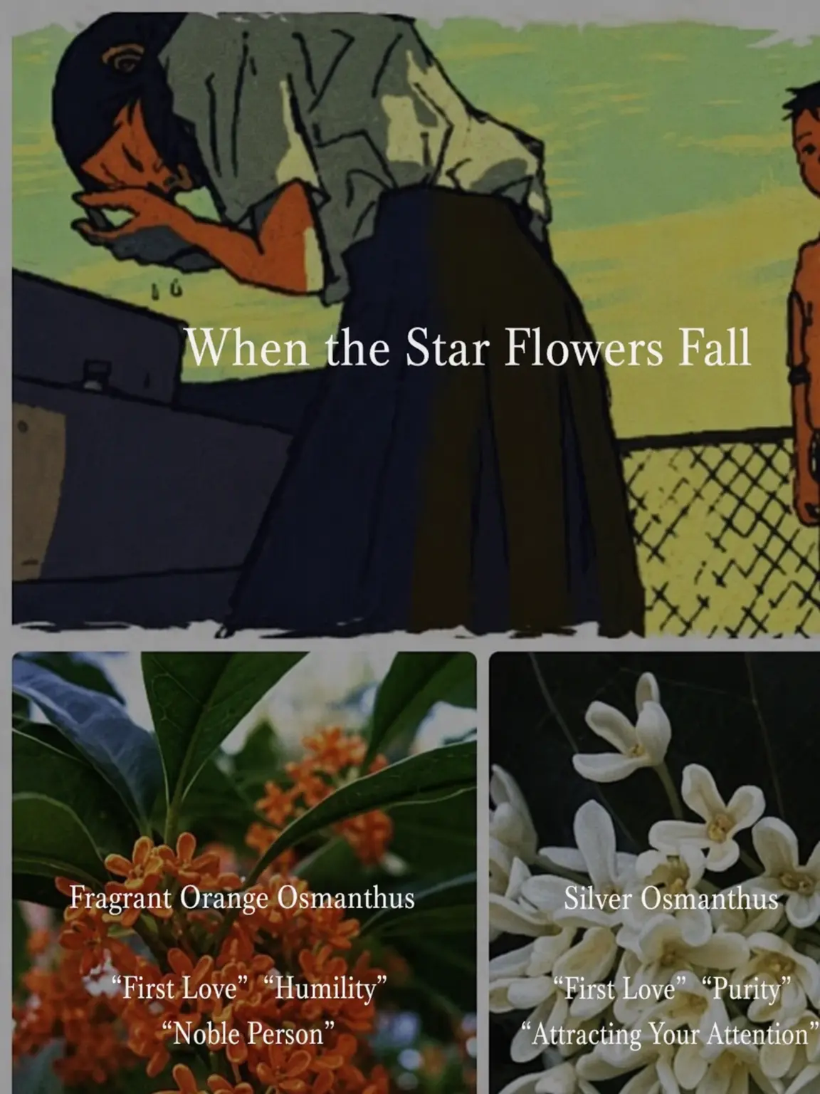 LeanerPages5547의 When the Star Flowers Fall