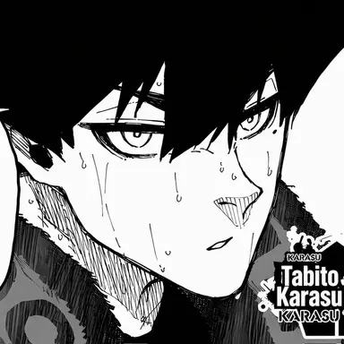 Profile image of Karasu Tabito