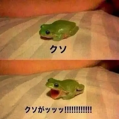 Profile image of ヨウ