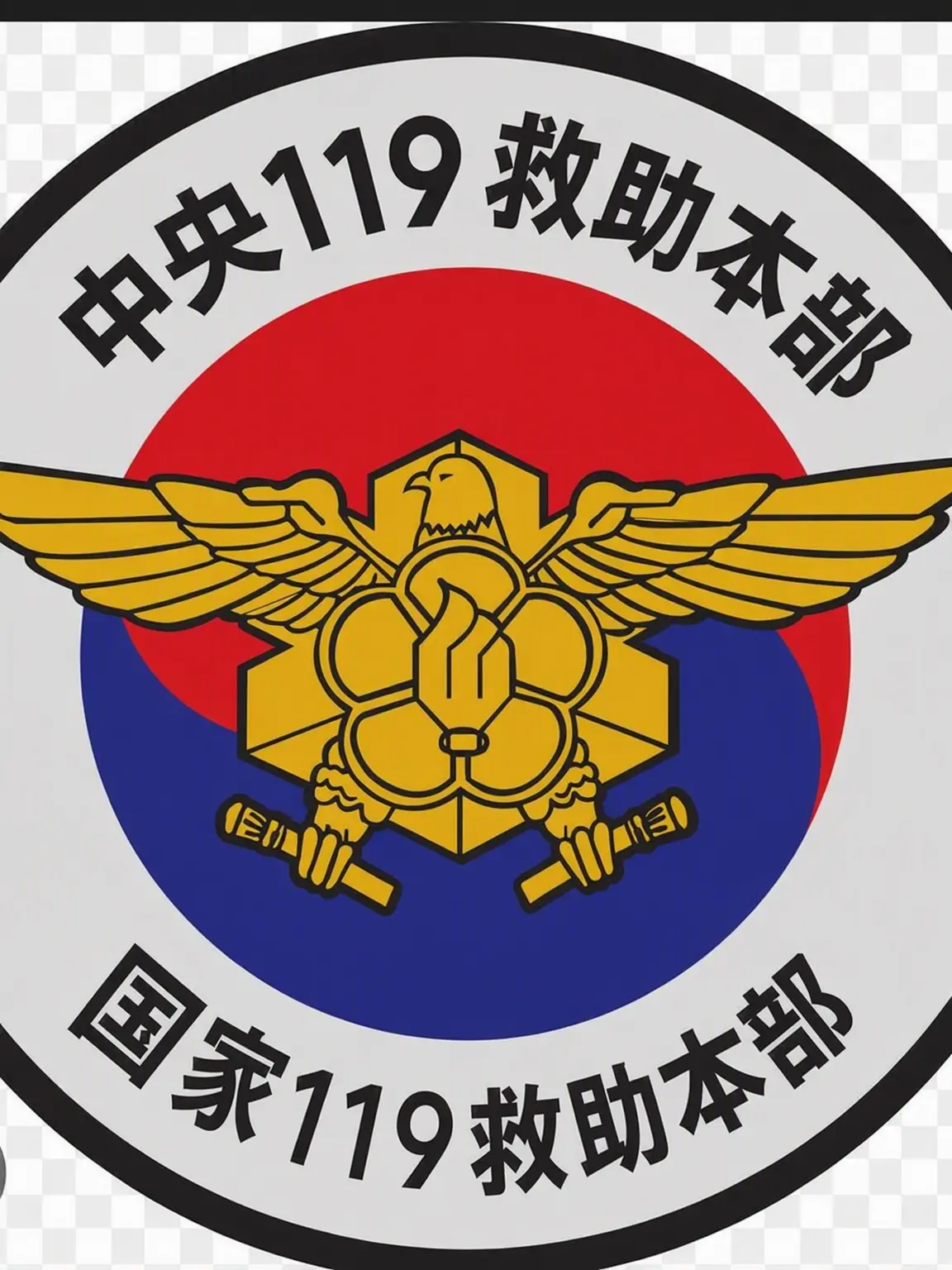 ILOVE_MILITARY의 中央119救助本部
