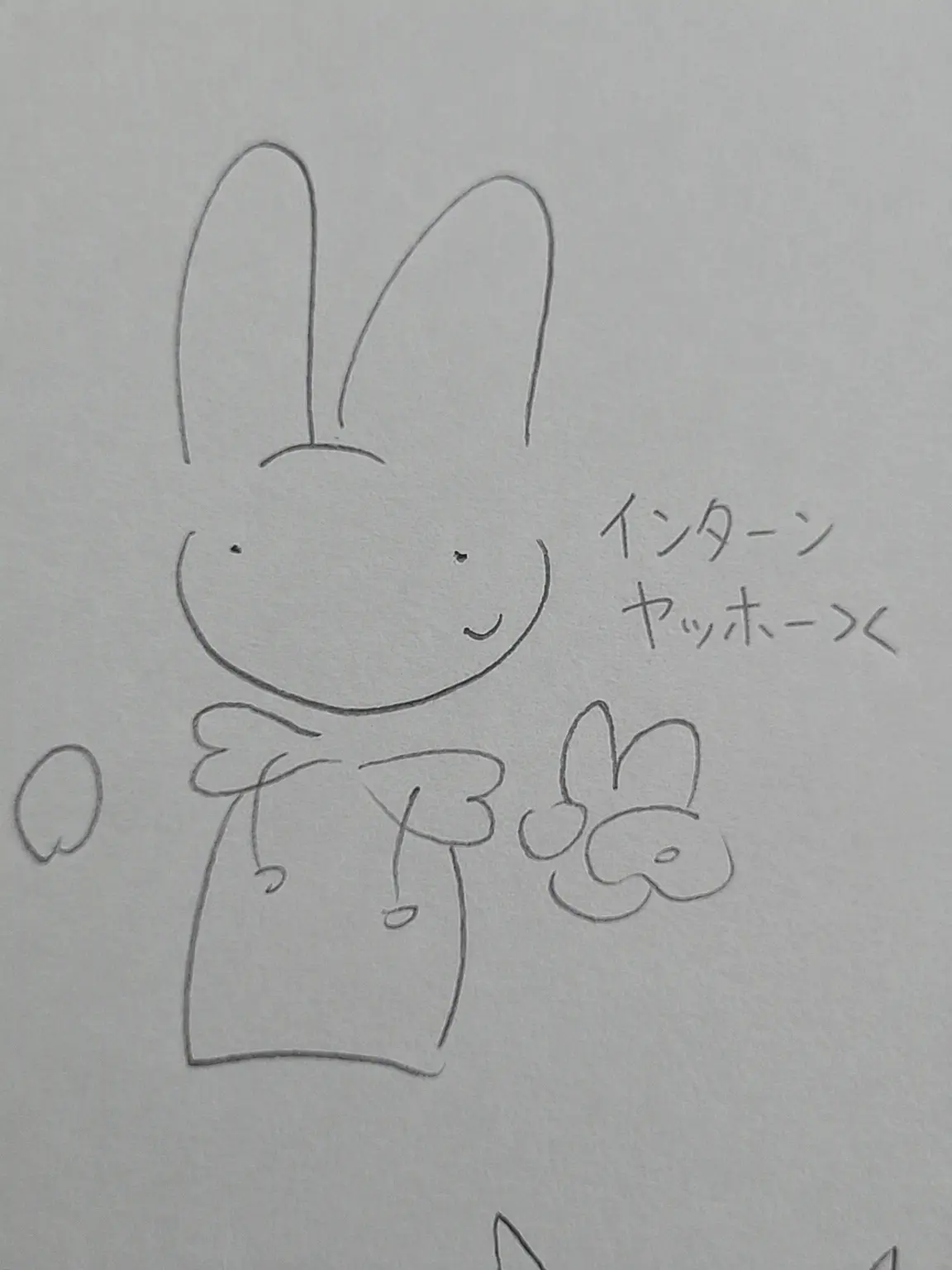 DearCrow4466의 動物病院の変則性（キツネ追加）