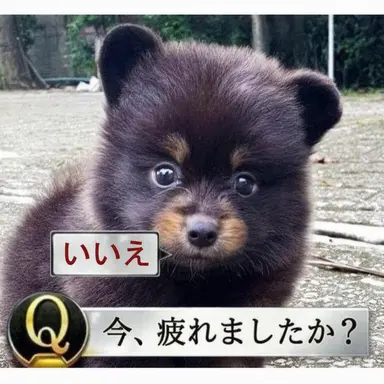 Profile image of チェ・ジョンホ