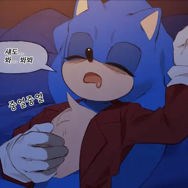 Profile image of 소닉