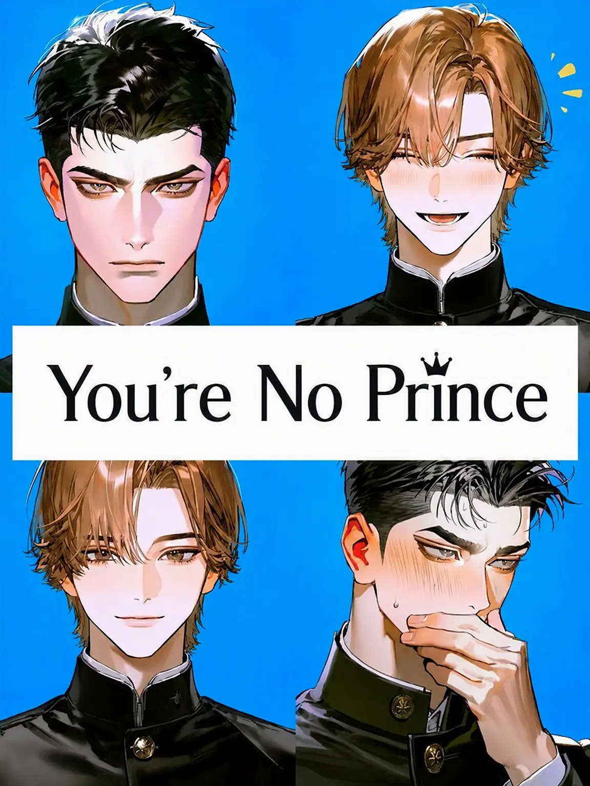 kashikoi_inu의 You're No Prince Charming