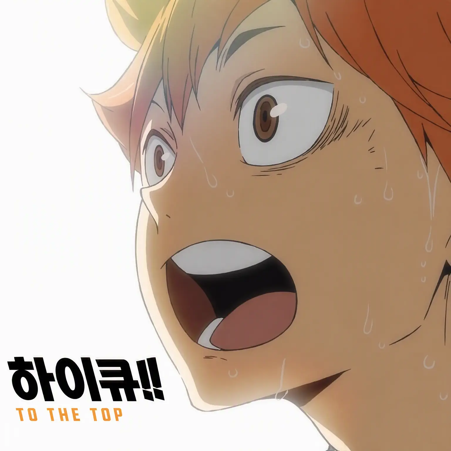 hamster.Candyapple.의 하이큐 학원!! (내숭녀 포함)